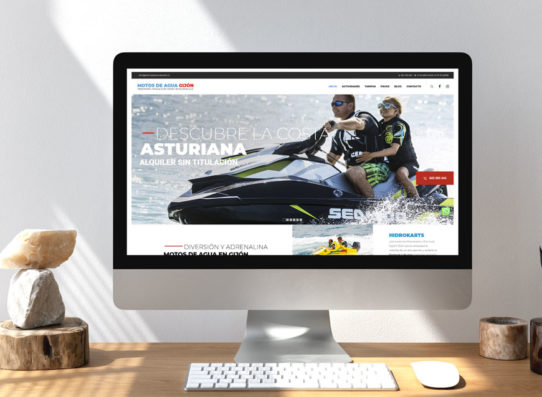 Diseño de páginas web profesionales en Asturias Oviedo, Gijón, Avilés. PRISMA ID.