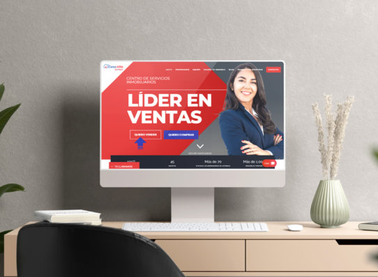 DISEÑO WEB PARA AGENCIAS INMOBILIARIAS - Prisma Imagen y Diseño